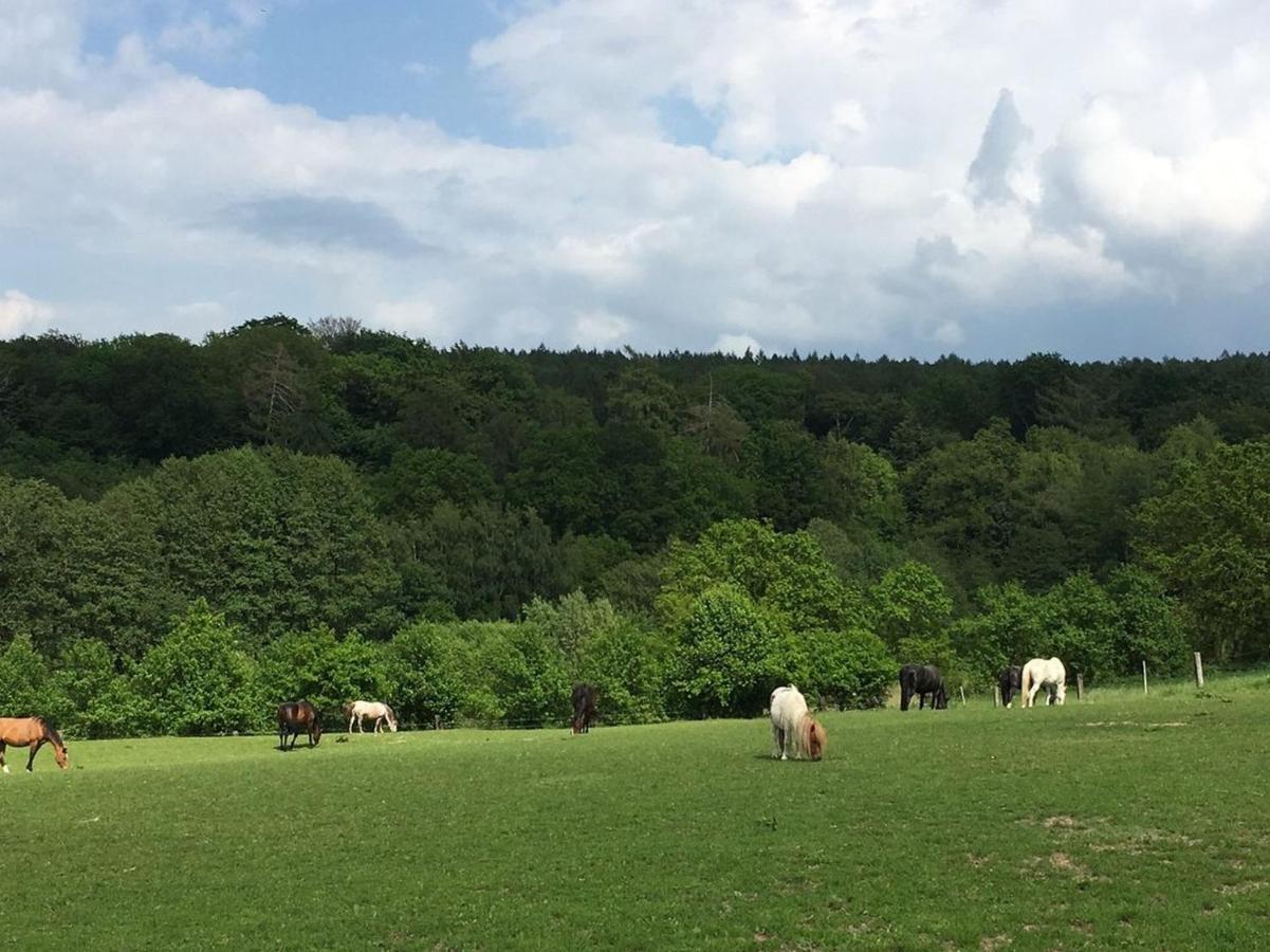 Appartamento Soodehof Eins Hofgeismar Esterno foto